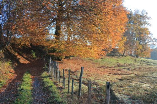 Dans La Creuse Et Nulle Part Ailleurs